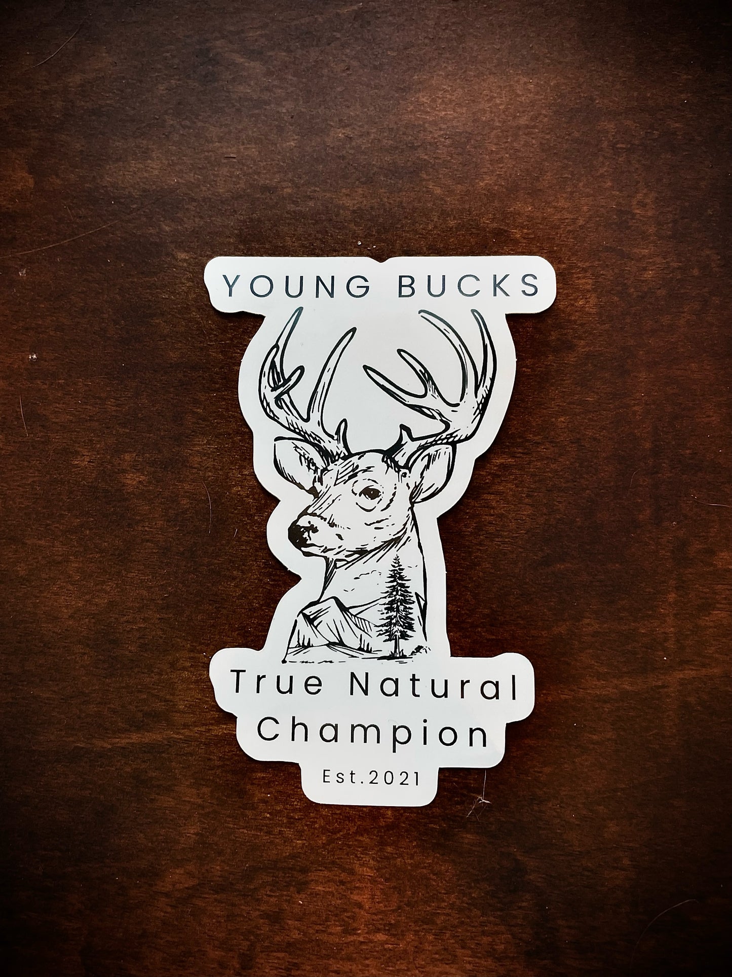 Young Bucks Stickers